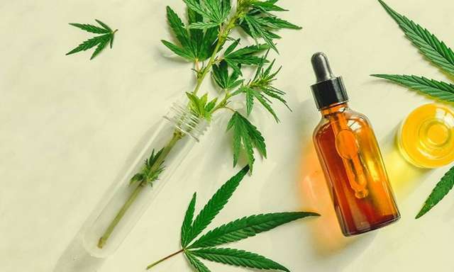 Frasco de óleo de CBD (cannabidiol) ao lado de folhas de cannabis, ilustrando consulta online sobre cannabis medicinal